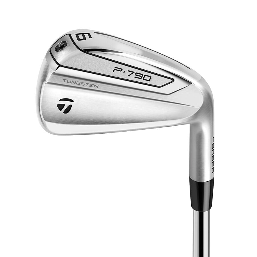 TaylorMade P790 2019 Iron Set