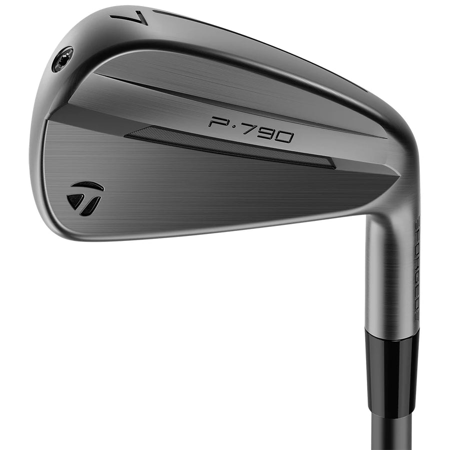 TaylorMade P790 2025 Battle Worn Iron Set